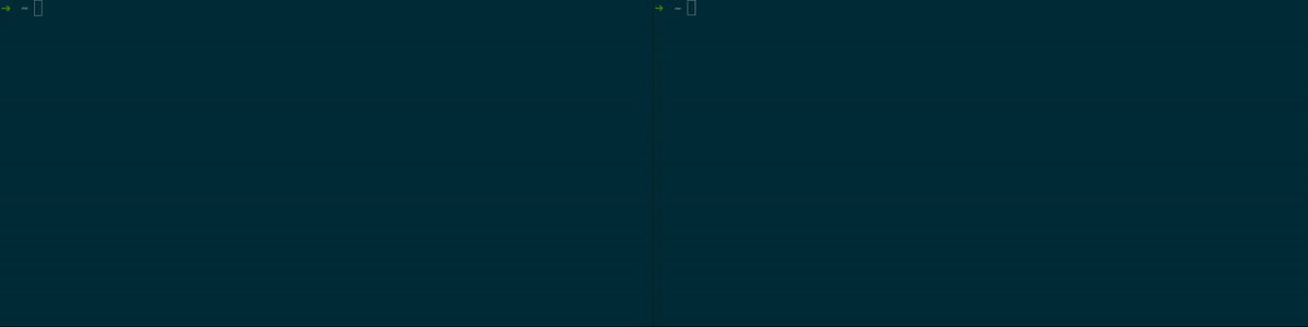 arp-scan showing the local IPs